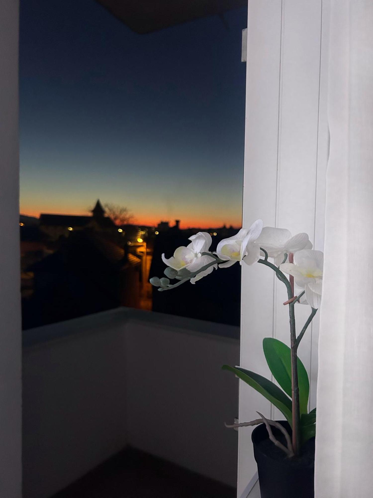 Davcom Studio Făgăraş Екстериор снимка